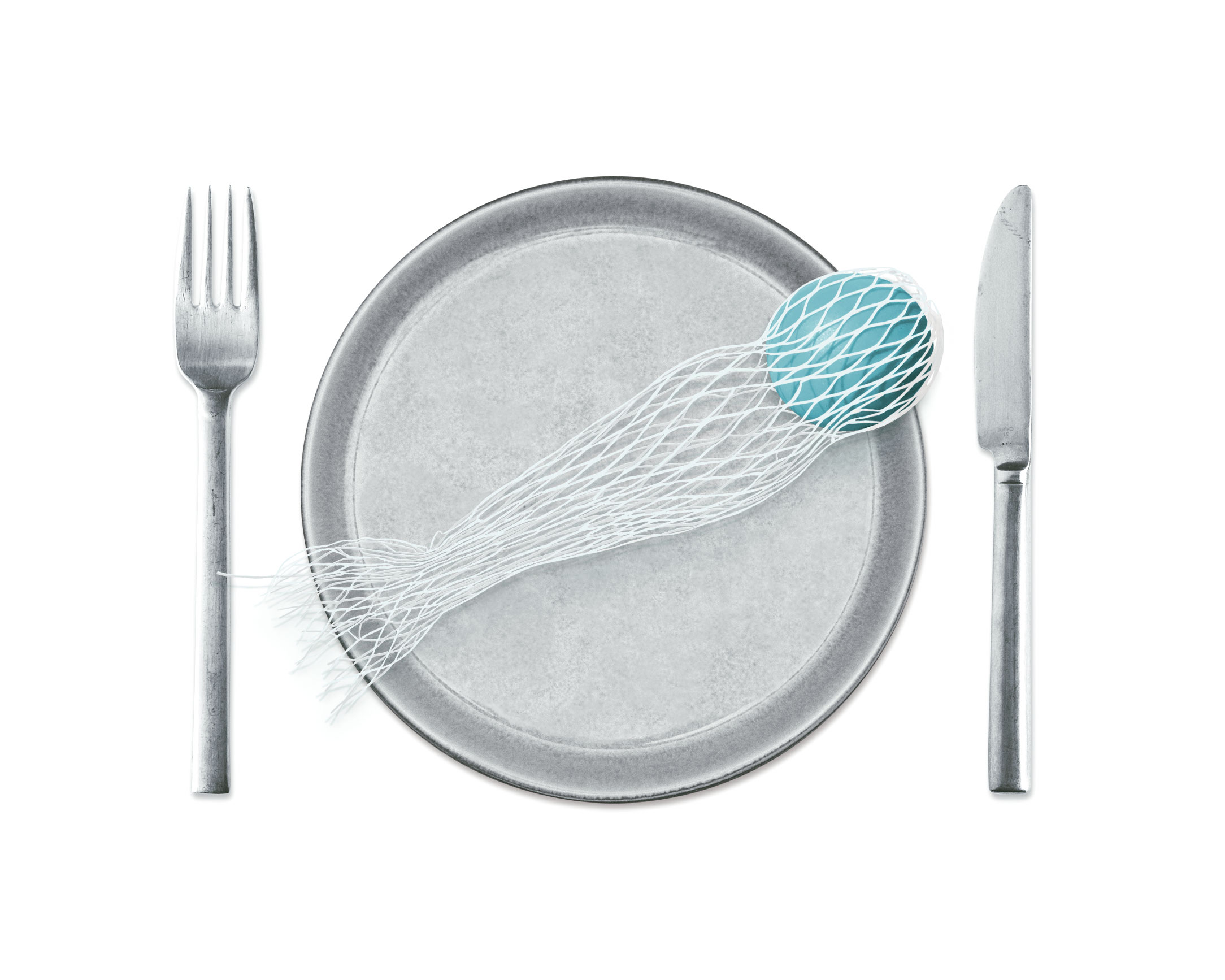 ©Mariaelena_Caputi_microplastic There Is Plastic In Your Fish