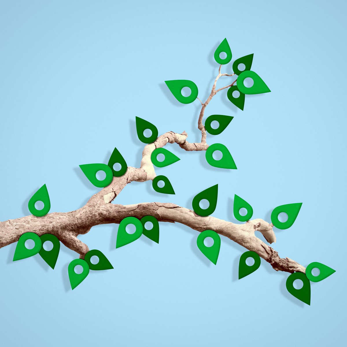 An illustration by Mariaelena Caputi of a branch whose leaves are pin locators. It is a metaphor for representing the fastest growing franchises in 2023.