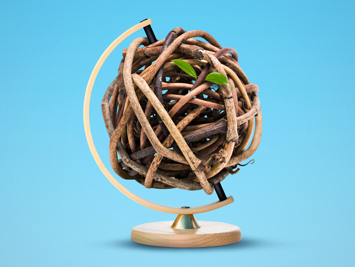 An illustration by Mariaelena Caputi showing a globe made of tangled branches and two lone leaves that bravely manage to sprout from one of them.
