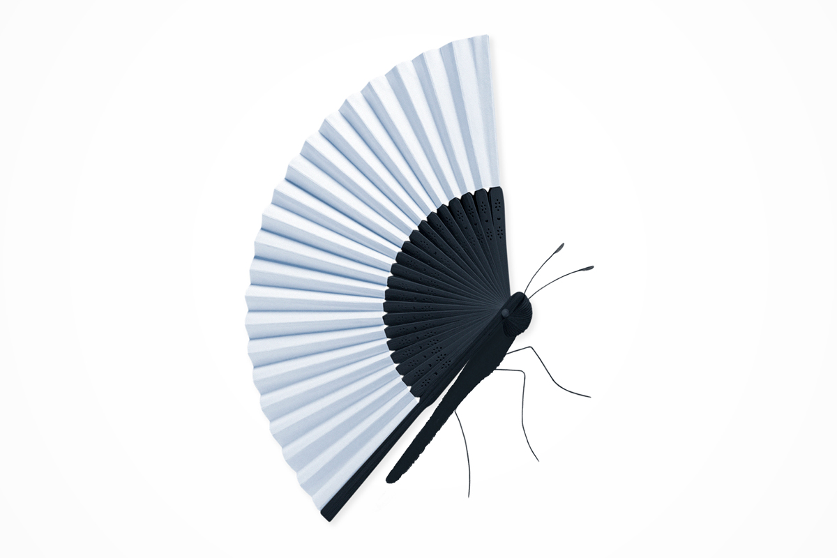 Illustration by Mariaelena Caputi of a butterfly whose wings are a fan.