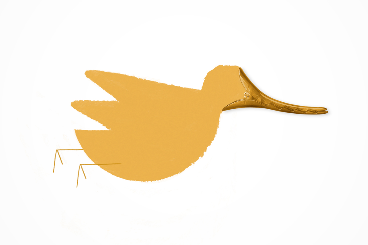 An illustration by Mariaelena Caputi of a duck whose beak is a hairpin.