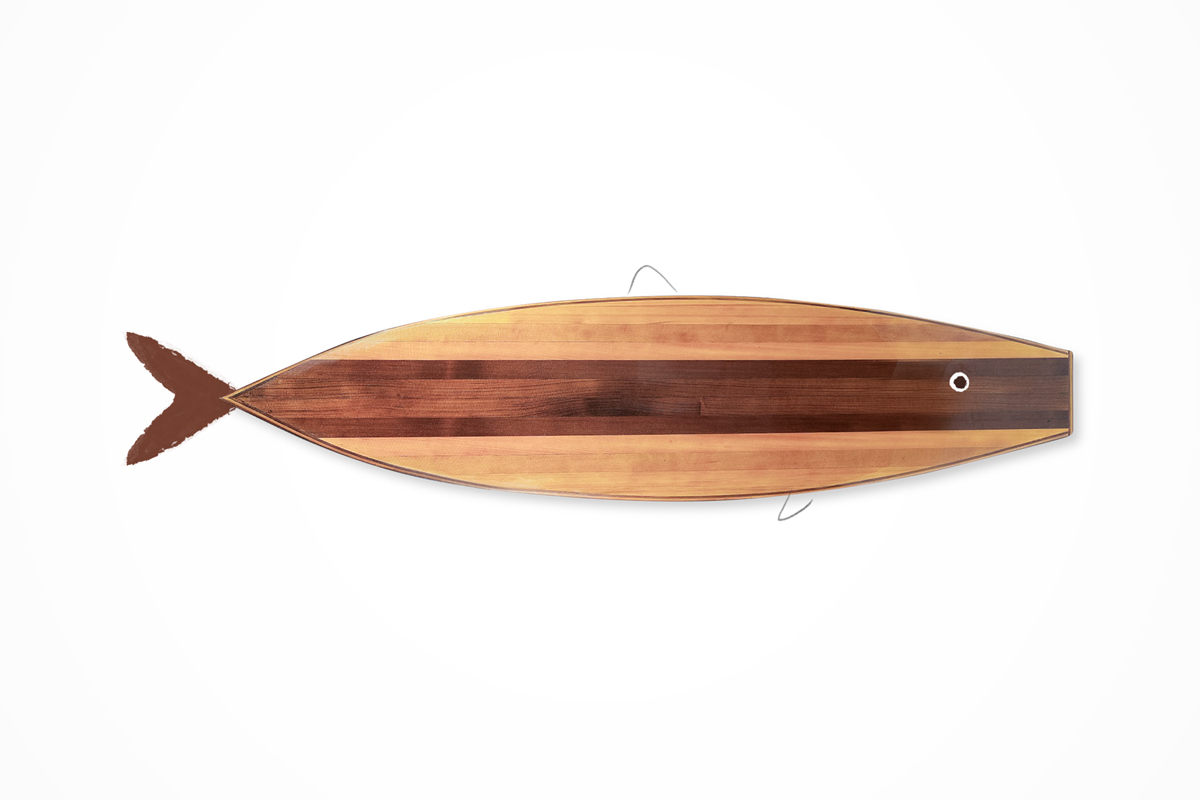 Illustration by Mariaelena Caputi of a fish whose body is a surfboard.