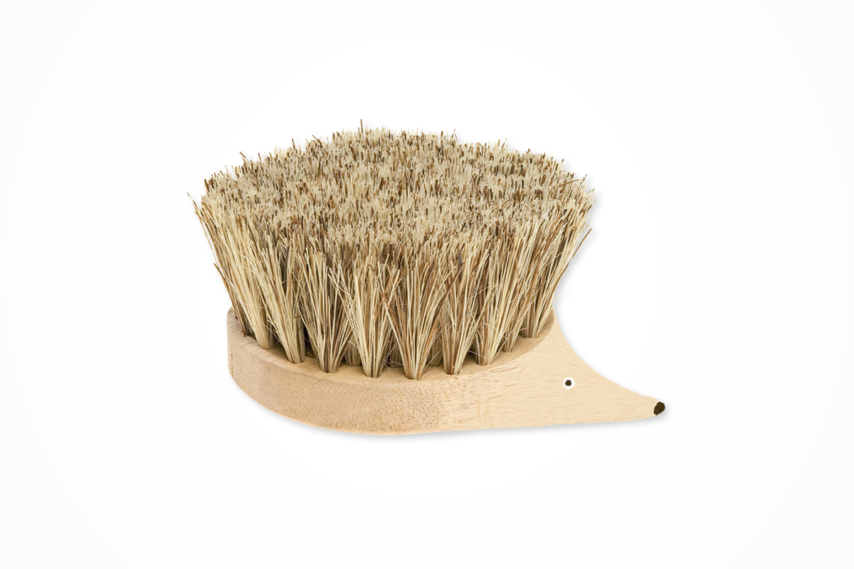 An illustration by Mariaelena Caputi of a hedgehog whose body is a brush with stiff teeth.