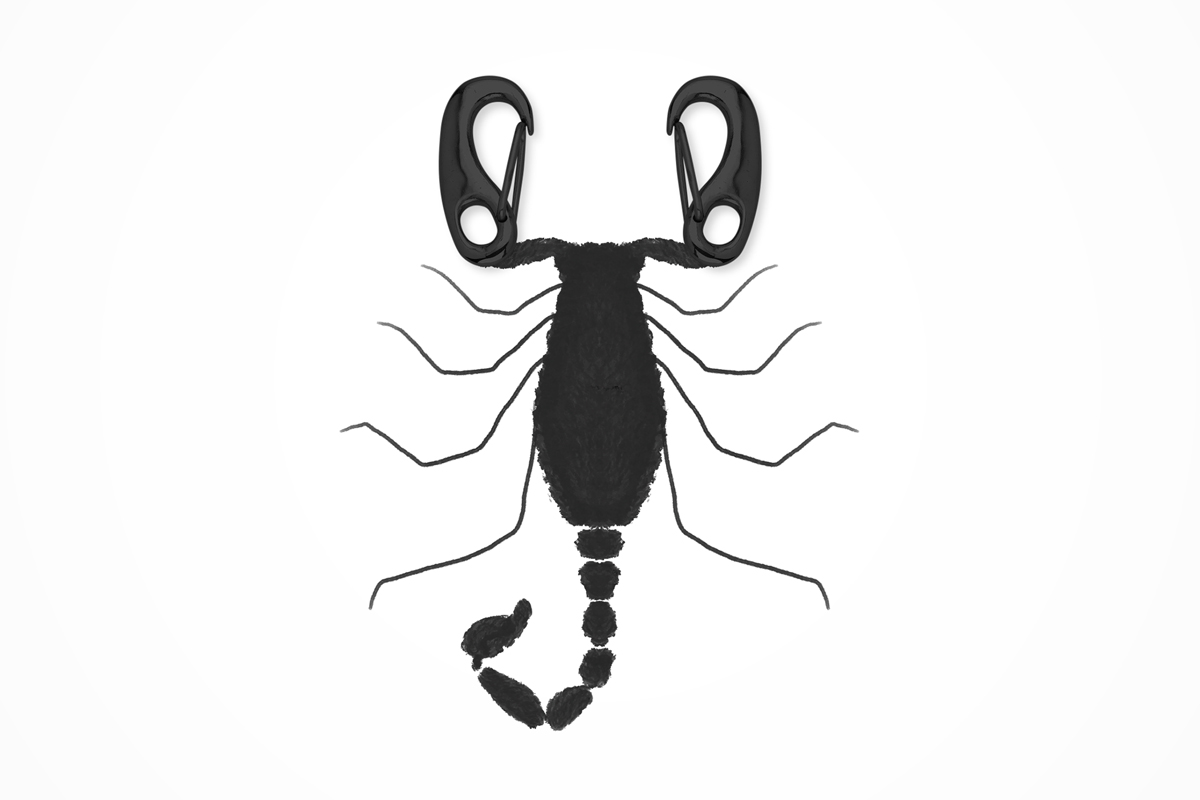 An illustration by Mariaelena Caputi of a scorpion whose claws are carabiners.