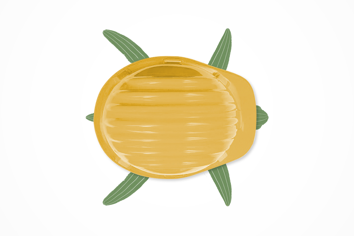 An illustration by Mariaelena Caputi of a turtle whose shell is a safety helmet.